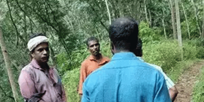 പുലിപ്പേടിയിൽ പുറത്തിറങ്ങാൻ കഴിയാതെ കലഞ്ഞൂര് പുലിപ്പേടിയിൽ പുറത്തിറങ്ങാൻ കഴിയാതെ കലഞ്ഞൂര്