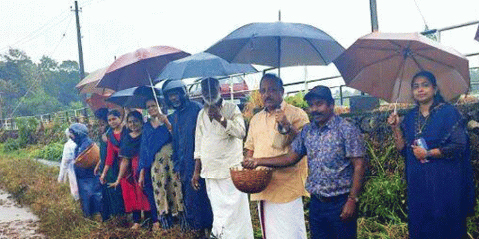 വിത്ത് വിതയ്ക്കൽ ഉദ്ഘാടനം ചെയ്തു വിത്ത് വിതയ്ക്കൽ ഉദ്ഘാടനം ചെയ്തു