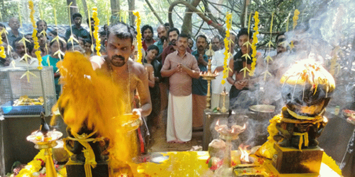 കല്ലേലി ഊരാളി അപ്പൂപ്പൻ കാവിൽ നാഗ പൂജ സമർപ്പിച്ചു കല്ലേലി ഊരാളി അപ്പൂപ്പൻ കാവിൽ നാഗ പൂജ സമർപ്പിച്ചു