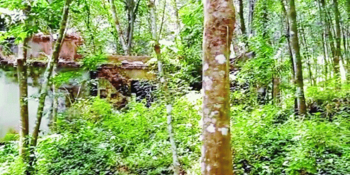 പുലി ഇറങ്ങിയ പ്രദേശങ്ങളിൽ തിരിഞ്ഞ് നോക്കാതെ കോന്നി എംഎൽഎ പുലി ഇറങ്ങിയ പ്രദേശങ്ങളിൽ തിരിഞ്ഞ് നോക്കാതെ കോന്നി എംഎൽഎ