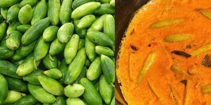 കോവയ്ക്ക ആളൊരു കേമനാണ്.. കഴിക്കുന്നതിന് മടി കാട്ടരുത് കോവയ്ക്ക ആളൊരു കേമനാണ്.. കഴിക്കുന്നതിന് മടി കാട്ടരുത്