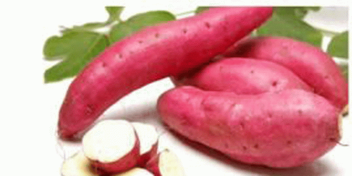 ചര്മ്മം തിളങ്ങാന് മധുരക്കിഴങ്ങ് മതി ചര്മ്മം തിളങ്ങാന് മധുരക്കിഴങ്ങ് മതി