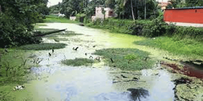 മുട്ടാർ നീർച്ചാലിനോടുള്ള അവഗണന ; ജനകീയ സമരത്തിനൊരുങ്ങി മുട്ടാർ ബൂത്ത് കോൺഗ്രസ് കമ്മിറ്റി മുട്ടാർ നീർച്ചാലിനോടുള്ള അവഗണന ; ജനകീയ സമരത്തിനൊരുങ്ങി മുട്ടാർ ബൂത്ത് കോൺഗ്രസ് കമ്മിറ്റി