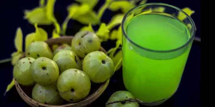 നെല്ലിക്ക എല്ലാ സമയത്തും കഴിക്കരുതേ; പണി കിട്ടും നെല്ലിക്ക എല്ലാ സമയത്തും കഴിക്കരുതേ; പണി കിട്ടും