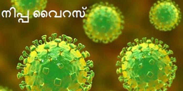 നിപ സംശയം : ആരോഗ്യവകുപ്പ് വിദഗ്ദ്ധ പരിശോധന തുടങ്ങി നിപ സംശയം : ആരോഗ്യവകുപ്പ് വിദഗ്ദ്ധ പരിശോധന തുടങ്ങി