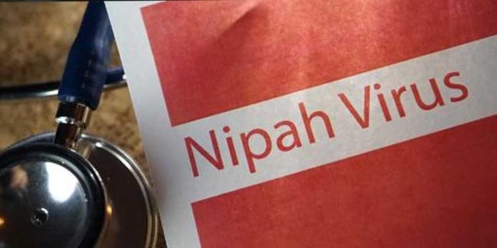 ചായക്കട, പലചരക്ക് കട, സൂപ്പർ മാർക്കറ്റ് ; നിപ സ്ഥിരീകരിച്ച ആരോഗ്യപ്രവർത്തകന്റെ റൂട്ട് മാപ്പ് പുറത്തുവിട്ടു ചായക്കട, പലചരക്ക് കട, സൂപ്പർ മാർക്കറ്റ് ; നിപ സ്ഥിരീകരിച്ച ആരോഗ്യപ്രവർത്തകന്റെ റൂട്ട് മാപ്പ് പുറത്തുവിട്ടു