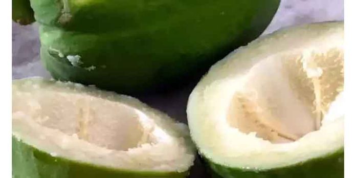 പച്ച പപ്പായ ആരോഗ്യത്തിന് ഗുണകരം ; അറിയാം പച്ച പപ്പായയെപ്പറ്റി പച്ച പപ്പായ ആരോഗ്യത്തിന് ഗുണകരം ; അറിയാം പച്ച പപ്പായയെപ്പറ്റി