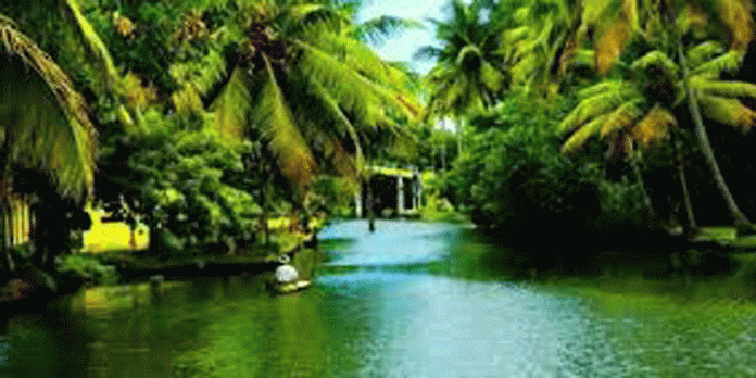 തെങ്ങുംകാവ് ഗവണ്മെന്റ് ലോവര് പ്രൈമറി സ്കൂളില് നദി ദിനാചരണം സംഘടിപ്പിച്ചു തെങ്ങുംകാവ് ഗവണ്മെന്റ് ലോവര് പ്രൈമറി സ്കൂളില് നദി ദിനാചരണം സംഘടിപ്പിച്ചു