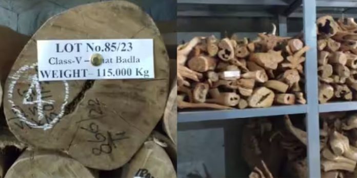 മറയൂര് ചന്ദന ലേലത്തില് 37 കോടിയുടെ വില്പ്പന മറയൂര് ചന്ദന ലേലത്തില് 37 കോടിയുടെ വില്പ്പന