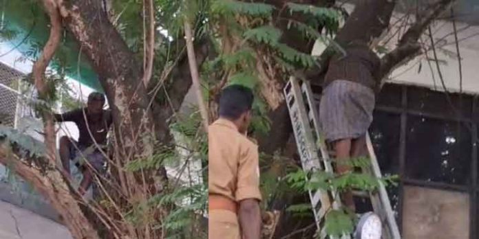 മരത്തിന് മുകളിൽ കയറി ആത്മഹത്യാ ഭീഷണി ; മധ്യവയസ്കനെ താഴെ ഇറക്കി ഫയർ ഫോഴ്സ് മരത്തിന് മുകളിൽ കയറി ആത്മഹത്യാ ഭീഷണി ; മധ്യവയസ്കനെ താഴെ ഇറക്കി ഫയർ ഫോഴ്സ്