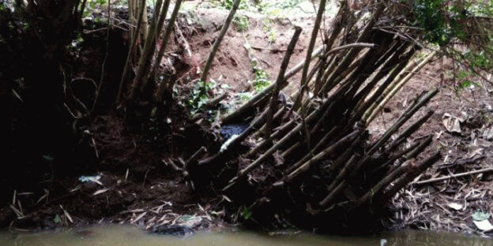 തീരമിടിയുന്നു ; ഭീതിയില് കടയ്ക്കാട് നിവാസികള് തീരമിടിയുന്നു ; ഭീതിയില് കടയ്ക്കാട് നിവാസികള്