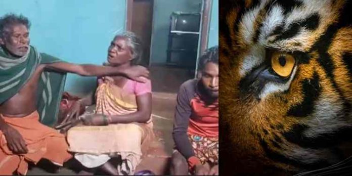 വയനാട് വീടിനുള്ളില് കടുവ കയറി; കടുവ ഓടിക്കയറിയത് പട്ടിയ്ക്ക് പിന്നാലെ വയനാട് വീടിനുള്ളില് കടുവ കയറി; കടുവ ഓടിക്കയറിയത് പട്ടിയ്ക്ക് പിന്നാലെ
