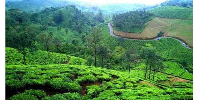 വൻ ഹിറ്റായി വാഗമൺ യാത്ര വൻ ഹിറ്റായി വാഗമൺ യാത്ര