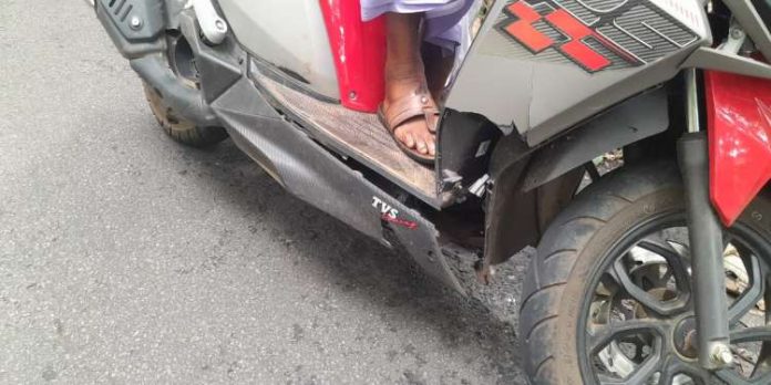 മ്ലാവ് കുറുകെ ചാടി ഇരുചക്ര വാഹന യാത്രക്കാരന് പരിക്കേറ്റു മ്ലാവ് കുറുകെ ചാടി ഇരുചക്ര വാഹന യാത്രക്കാരന് പരിക്കേറ്റു