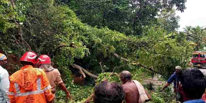 മഴ കനത്തതോടെ സംസ്ഥാനത്ത് വിവിധയിടങ്ങളിൽ വലിയതോതിൽ നാശനഷ്ടം മഴ കനത്തതോടെ സംസ്ഥാനത്ത് വിവിധയിടങ്ങളിൽ വലിയതോതിൽ നാശനഷ്ടം