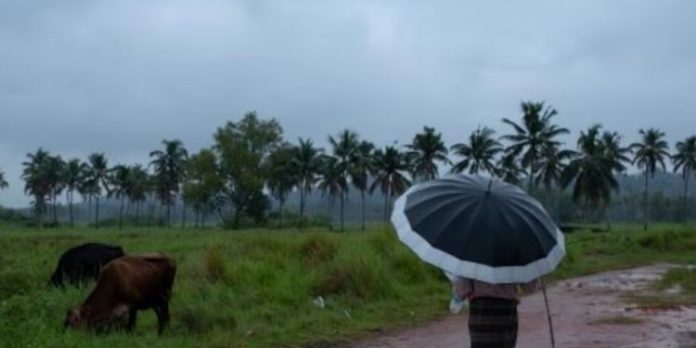 തെക്കൻ കേരളത്തിൽ മഴ ശക്തമാകും ; മൂന്നിടത്ത് ഓറഞ്ച് അലേര്ട്ട് തെക്കൻ കേരളത്തിൽ മഴ ശക്തമാകും ; മൂന്നിടത്ത് ഓറഞ്ച് അലേര്ട്ട്