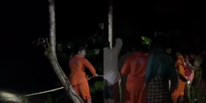 കനത്ത മഴ ; കുളത്തുപ്പുഴ വനമേഖലയില് കുടുങ്ങിയവരെ രക്ഷപെടുത്തി കനത്ത മഴ ; കുളത്തുപ്പുഴ വനമേഖലയില് കുടുങ്ങിയവരെ രക്ഷപെടുത്തി
