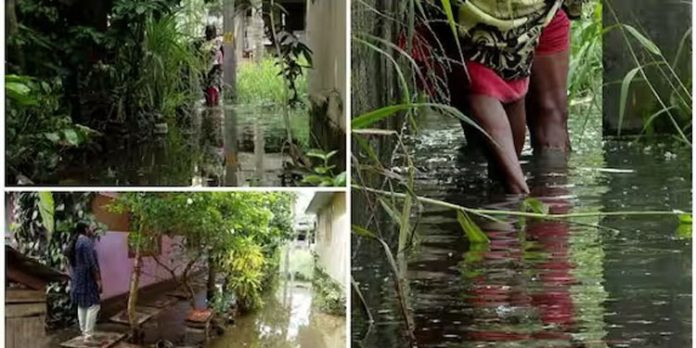 തിരുവനന്തപുരം ആനയറയിൽ കക്കൂസ് മാലിന്യം നിറഞ്ഞ വെള്ളക്കെട്ട് ; 3 കുടുംബങ്ങൾ ദുരിതത്തിൽ തിരുവനന്തപുരം ആനയറയിൽ കക്കൂസ് മാലിന്യം നിറഞ്ഞ വെള്ളക്കെട്ട് ; 3 കുടുംബങ്ങൾ ദുരിതത്തിൽ