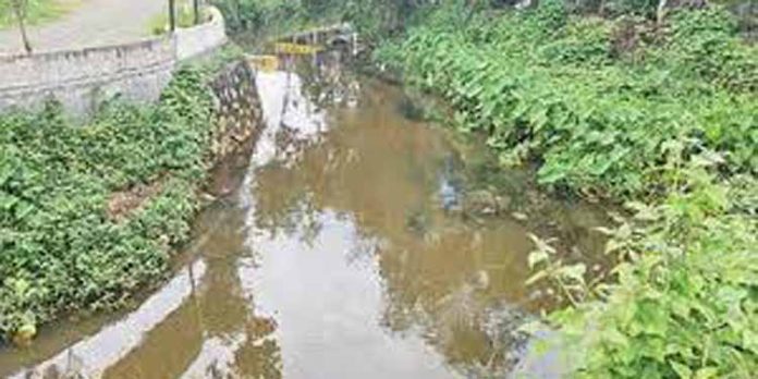 മാലിന്യം നിറഞ്ഞ് അടൂര് വലിയതോട് മാലിന്യം നിറഞ്ഞ് അടൂര് വലിയതോട്