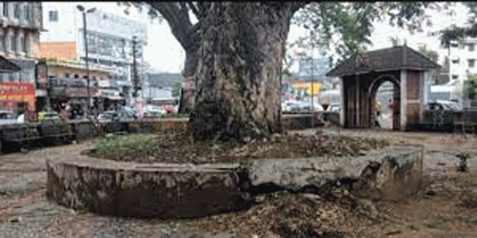 ഗാന്ധിയുടെ പേരിലുള്ള മൈതാനം അവഗണനയുടെ നടുവില് ; കോടികളുടെ പദ്ധതികള് പലതും കടലാസില് ഒതുങ്ങി ഗാന്ധിയുടെ പേരിലുള്ള മൈതാനം അവഗണനയുടെ നടുവില് ; കോടികളുടെ പദ്ധതികള് പലതും കടലാസില് ഒതുങ്ങി