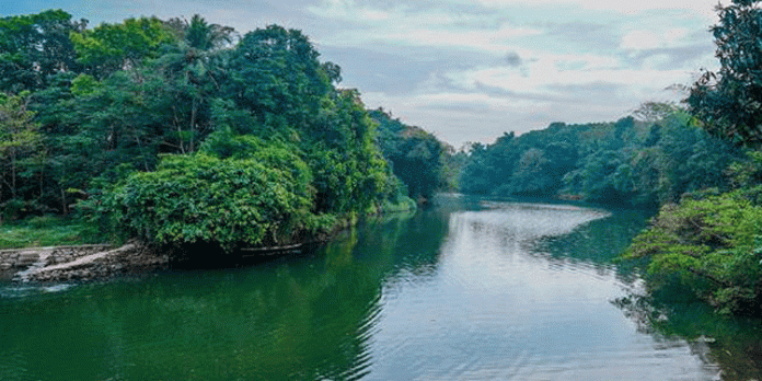 പമ്പ മുഖ്യ ആകര്ഷണമാക്കി ഉള്നാടന് ജലഗതാഗതം ജില്ലയില് യാഥാര്ഥ്യമാകുന്നു പമ്പ മുഖ്യ ആകര്ഷണമാക്കി ഉള്നാടന് ജലഗതാഗതം ജില്ലയില് യാഥാര്ഥ്യമാകുന്നു
