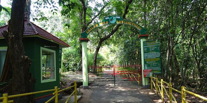 ആറളം മാവോയിസ്റ്റ് വെടിവെപ്പ് ; തിരച്ചിലിന് കർണാടക പോലീസിന്റെ സഹായം തേടി കേരളം ആറളം മാവോയിസ്റ്റ് വെടിവെപ്പ് ; തിരച്ചിലിന് കർണാടക പോലീസിന്റെ സഹായം തേടി കേരളം
