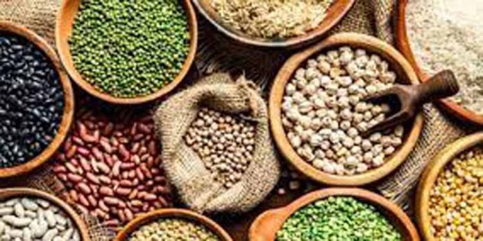പൂഴിക്കാട് ഗവ.യു.പി.സ്കൂളിൽ ധാന്യമേള സംഘടിപ്പിച്ചു പൂഴിക്കാട് ഗവ.യു.പി.സ്കൂളിൽ ധാന്യമേള സംഘടിപ്പിച്ചു