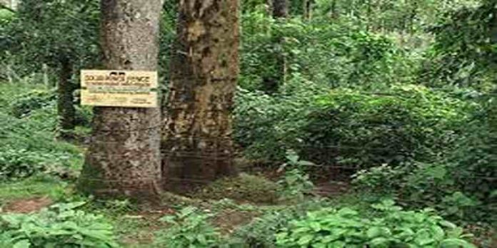 വയനാട്ടിൽ വന്യജീവി ശല്യം തടയാൻ 130 കിലോമീറ്റര് നീളത്തില് സോളാര് ഫെന്സിംഗ് വയനാട്ടിൽ വന്യജീവി ശല്യം തടയാൻ 130 കിലോമീറ്റര് നീളത്തില് സോളാര് ഫെന്സിംഗ്