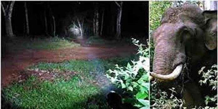 പുറ്റാനിക്കാട് ജുമാ മസ്ജിദ് മതിൽ പൊളിച്ച് ഖബർ സ്ഥാനിലെ ഖബറുകൾ ചവിട്ടി നിരത്തി കാട്ടാനക്കൂട്ടം പുറ്റാനിക്കാട് ജുമാ മസ്ജിദ് മതിൽ പൊളിച്ച് ഖബർ സ്ഥാനിലെ ഖബറുകൾ ചവിട്ടി നിരത്തി കാട്ടാനക്കൂട്ടം