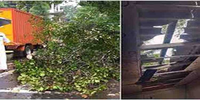 മാന്നാറില് ശക്തമായ കാറ്റിലും മഴയിലും വ്യാപക നാശനഷ്ടം മാന്നാറില് ശക്തമായ കാറ്റിലും മഴയിലും വ്യാപക നാശനഷ്ടം