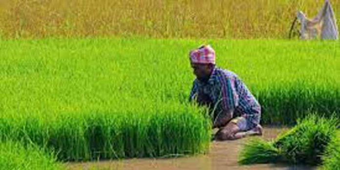ജില്ലാ കൃഷിവിജ്ഞാന കേന്ദ്രം കർഷകരെ ആദരിച്ചു ജില്ലാ കൃഷിവിജ്ഞാന കേന്ദ്രം കർഷകരെ ആദരിച്ചു