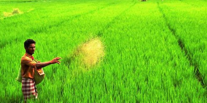 പിഎം കിസാൻ ആനുകൂല്യം ; നടപടികൾ ഒക്ടോബർ 31ന് മുമ്പ് പൂർത്തീകരിക്കണം പിഎം കിസാൻ ആനുകൂല്യം ; നടപടികൾ ഒക്ടോബർ 31ന് മുമ്പ് പൂർത്തീകരിക്കണം