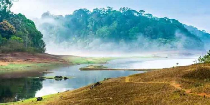 പോക്കറ്റ് കാലിയാവാതെ നടത്താവുന്ന നവംബർ യാത്രകൾ പോക്കറ്റ് കാലിയാവാതെ നടത്താവുന്ന നവംബർ യാത്രകൾ
