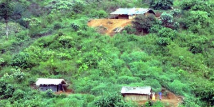 സംസ്ഥാനത്തെ ഏക ഗോത്രവര്ഗ പഞ്ചായത്തിലും ഇനി 4 ജി ; ചിലവ് നാലര കോടി സംസ്ഥാനത്തെ ഏക ഗോത്രവര്ഗ പഞ്ചായത്തിലും ഇനി 4 ജി ; ചിലവ് നാലര കോടി