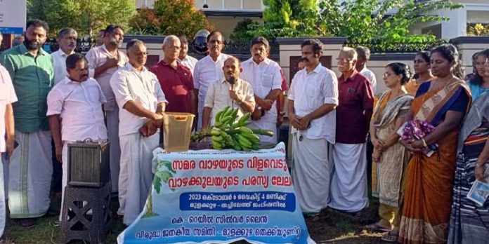 കെ റെയിൽ സമരവാഴക്കുലക്ക് 45100 രൂപ കെ റെയിൽ സമരവാഴക്കുലക്ക് 45100 രൂപ