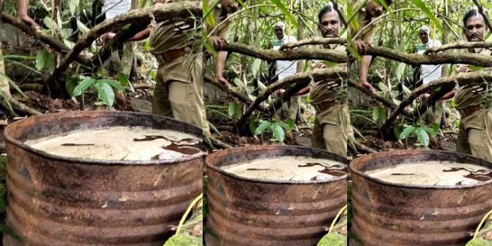 ആങ്ങമൂഴി തേവർമല വനത്തിൽ വൻ കോടശേഖരം പിടികൂടി ആങ്ങമൂഴി തേവർമല വനത്തിൽ വൻ കോടശേഖരം പിടികൂടി