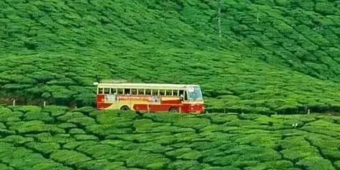 തേയിലത്തോട്ടങ്ങളും തണുപ്പും കോടമഞ്ഞും നിറഞ്ഞ കാഴ്ച : പോകാം ഒരു ഒരു കിടിലൻ യാത്ര തേയിലത്തോട്ടങ്ങളും തണുപ്പും കോടമഞ്ഞും നിറഞ്ഞ കാഴ്ച : പോകാം ഒരു ഒരു കിടിലൻ യാത്ര