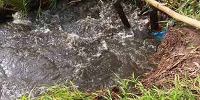 വിതയ്ക്കാൻ തയാറാക്കിയിട്ടിരുന്ന പാടത്ത് ജലനിരപ്പ് ഉയർന്നതിനെ തുടർന്ന് മട വീണു വിതയ്ക്കാൻ തയാറാക്കിയിട്ടിരുന്ന പാടത്ത് ജലനിരപ്പ് ഉയർന്നതിനെ തുടർന്ന് മട വീണു