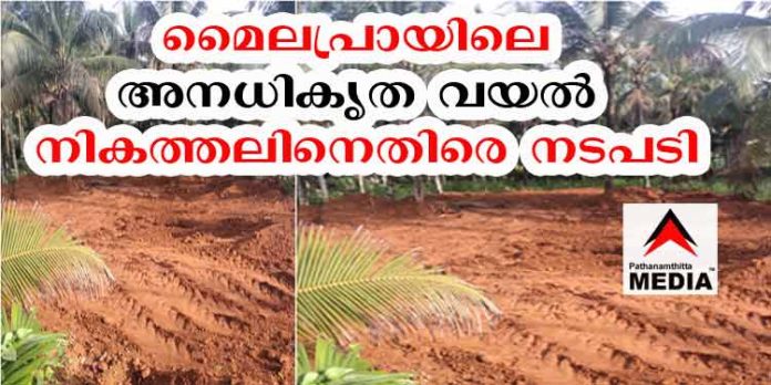 മൈലപ്രായിലെ അനധികൃത വയല് നികത്തലിനെതിരെ നടപടി ; മൈലപ്രാ മറ്റൊരു “മരട് ” ആകുമോ ? മൈലപ്രായിലെ അനധികൃത വയല് നികത്തലിനെതിരെ നടപടി ; മൈലപ്രാ മറ്റൊരു “മരട് ” ആകുമോ ?