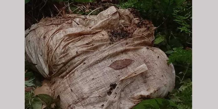 ചുങ്കപ്പാറ – പൊന്തൻപുഴ റോഡിൽ മാലിന്യം തള്ളൽ വ്യാപകമാകുന്നു ചുങ്കപ്പാറ – പൊന്തൻപുഴ റോഡിൽ മാലിന്യം തള്ളൽ വ്യാപകമാകുന്നു