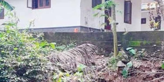 പെരുന്തോടിന്റെ സംരക്ഷണഭിത്തി ഇടിയുന്നു ; ഭീതിയില് ജനങ്ങള് പെരുന്തോടിന്റെ സംരക്ഷണഭിത്തി ഇടിയുന്നു ; ഭീതിയില് ജനങ്ങള്