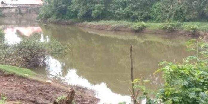 വയറപ്പുഴ പാലം നിർമ്മാണത്തിന്റെ തടസങ്ങൾ നീങ്ങുന്നു വയറപ്പുഴ പാലം നിർമ്മാണത്തിന്റെ തടസങ്ങൾ നീങ്ങുന്നു