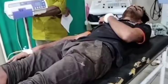 വയനാട്ടില് കാട്ടുപോത്ത് സ്കൂട്ടറില് ഇടിച്ച് യുവാവിന് പരിക്ക് വയനാട്ടില് കാട്ടുപോത്ത് സ്കൂട്ടറില് ഇടിച്ച് യുവാവിന് പരിക്ക്