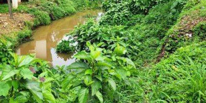 ഒഴുക്ക് തടസപ്പെട്ട പഴയതോട്ടിൽ വെള്ളം കെട്ടിക്കിടക്കുന്നു ഒഴുക്ക് തടസപ്പെട്ട പഴയതോട്ടിൽ വെള്ളം കെട്ടിക്കിടക്കുന്നു