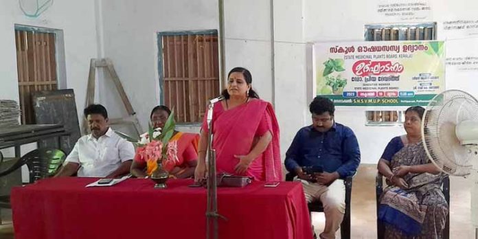 എസ്എൻഎസ് വിഎം യുപി സ്കൂളിൽ ഔഷധസസ്യ തോട്ടം നിർമിച്ചു എസ്എൻഎസ് വിഎം യുപി സ്കൂളിൽ ഔഷധസസ്യ തോട്ടം നിർമിച്ചു