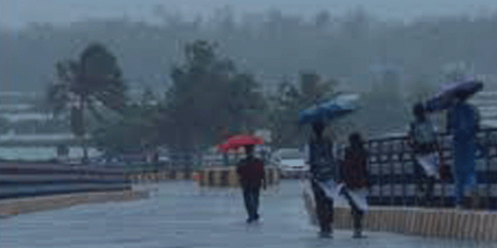 കനത്ത മഴ ; ജില്ലയിൽ ലഭിച്ചത് 48 മില്ലിമീറ്റർ മഴ കനത്ത മഴ ; ജില്ലയിൽ ലഭിച്ചത് 48 മില്ലിമീറ്റർ മഴ