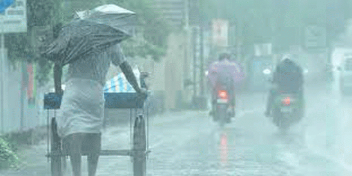 സംസ്ഥാനത്ത് മധ്യ, വടക്കൻ ജില്ലകളിൽ വ്യാപക മഴയ്ക്ക് സാധ്യത ; 10 ജില്ലകളിൽ യെല്ലോ അലർട്ട് സംസ്ഥാനത്ത് മധ്യ, വടക്കൻ ജില്ലകളിൽ വ്യാപക മഴയ്ക്ക് സാധ്യത ; 10 ജില്ലകളിൽ യെല്ലോ അലർട്ട്