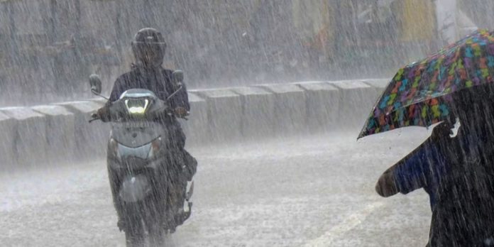 അറബിക്കടലിലെ ന്യൂനമർദ്ദം തീവ്രന്യൂനമർദ്ദമാകുന്നു ; കേരളത്തിൽ 5 ദിവസം മഴ സാധ്യത അറബിക്കടലിലെ ന്യൂനമർദ്ദം തീവ്രന്യൂനമർദ്ദമാകുന്നു ; കേരളത്തിൽ 5 ദിവസം മഴ സാധ്യത