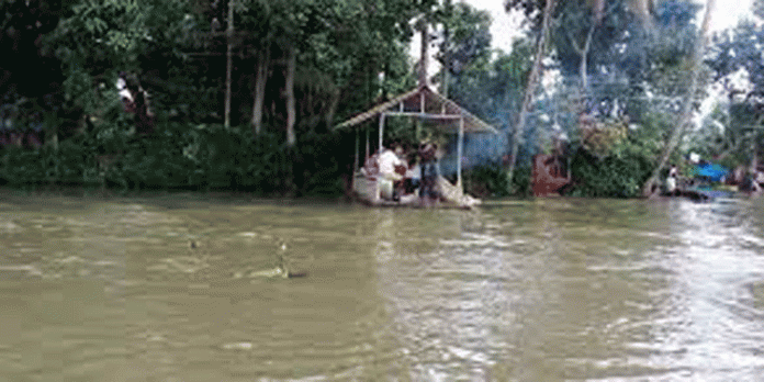 കനത്ത മഴ ; കായംകുളത്തിന്റെ ഒട്ടുമിക്ക പ്രദേശങ്ങളും വെള്ളക്കെട്ടിലായി കനത്ത മഴ ; കായംകുളത്തിന്റെ ഒട്ടുമിക്ക പ്രദേശങ്ങളും വെള്ളക്കെട്ടിലായി