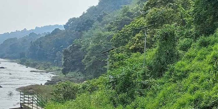 കാടുകയറി വെളിച്ചമില്ലാതായി ടൂറിസം കേന്ദ്രത്തിലെ സൗരോര്ജ്ജ വിളക്കുകള് കാടുകയറി വെളിച്ചമില്ലാതായി ടൂറിസം കേന്ദ്രത്തിലെ സൗരോര്ജ്ജ വിളക്കുകള്
